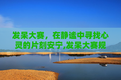 发呆大赛，在静谧中寻找心灵的片刻安宁,发呆大赛规则