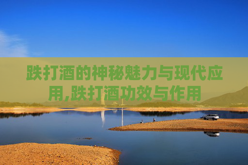 跌打酒的神秘魅力与现代应用,跌打酒功效与作用