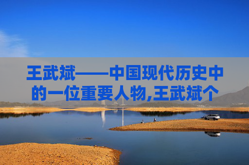 王武斌——中国现代历史中的一位重要人物,王武斌个人简历