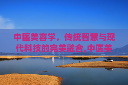中医美容学，传统智慧与现代科技的完美融合,中医美容学教材pdf