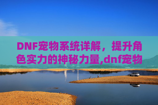 DNF宠物系统详解，提升角色实力的神秘力量,dnf宠物有啥用