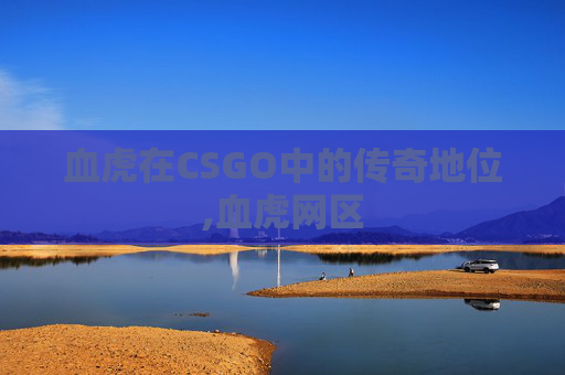 血虎在CSGO中的传奇地位,血虎网区