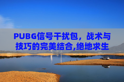 PUBG信号干扰包，战术与技巧的完美结合,绝地求生干扰背包有什么用
