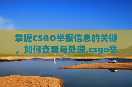 掌握CSGO举报信息的关键，如何查看与处理,csgo举报信息怎么看不到