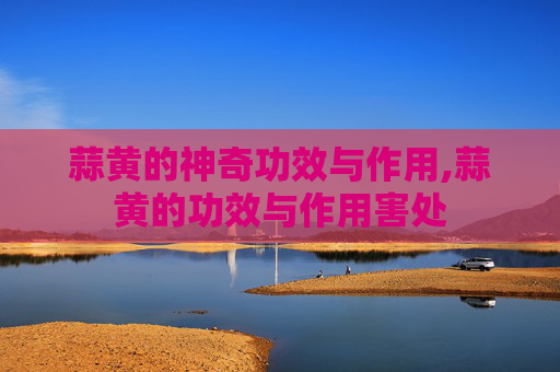 蒜黄的神奇功效与作用,蒜黄的功效与作用害处