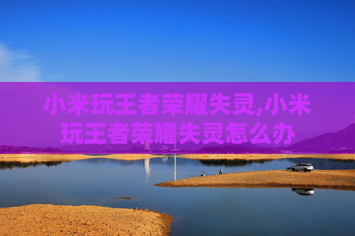 小米玩王者荣耀失灵,小米玩王者荣耀失灵怎么办