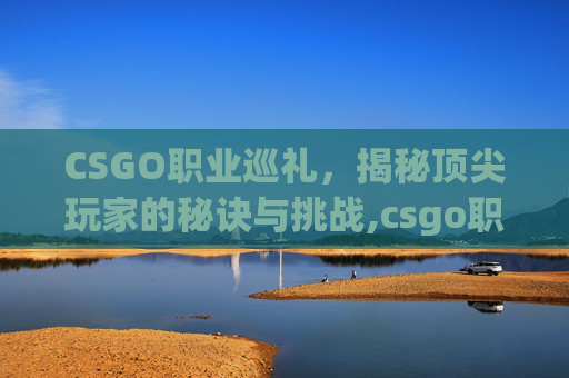 CSGO职业巡礼，揭秘顶尖玩家的秘诀与挑战,csgo职业赛