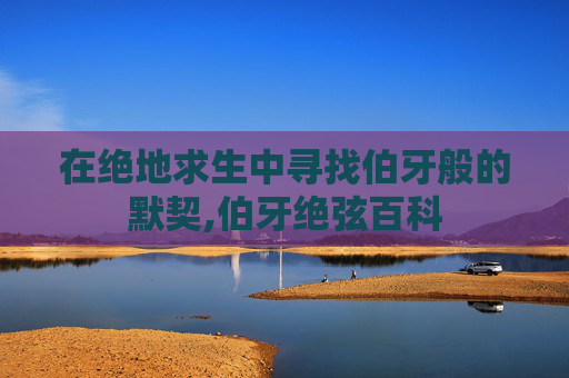 在绝地求生中寻找伯牙般的默契,伯牙绝弦百科