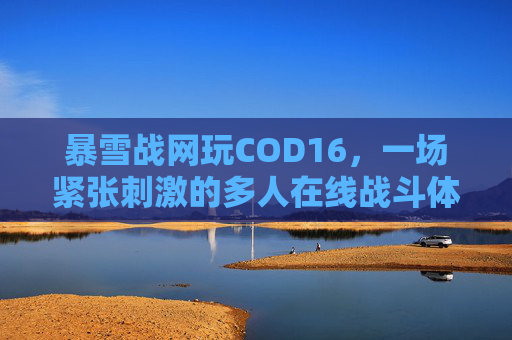 暴雪战网玩COD16，一场紧张刺激的多人在线战斗体验,暴雪战网玩游戏需要电话号码验证
