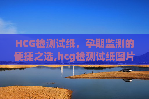 HCG检测试纸，孕期监测的便捷之选,hcg检测试纸图片说明