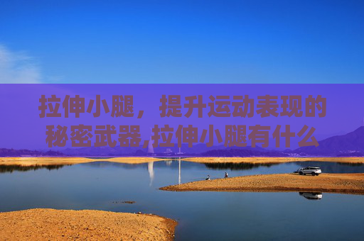 拉伸小腿，提升运动表现的秘密武器,拉伸小腿有什么好处