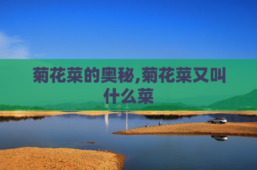 菊花菜的奥秘,菊花菜又叫什么菜