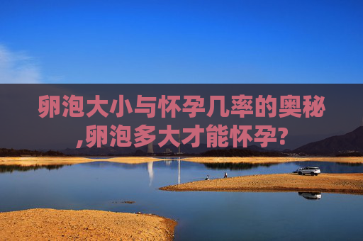 卵泡大小与怀孕几率的奥秘,卵泡多大才能怀孕?