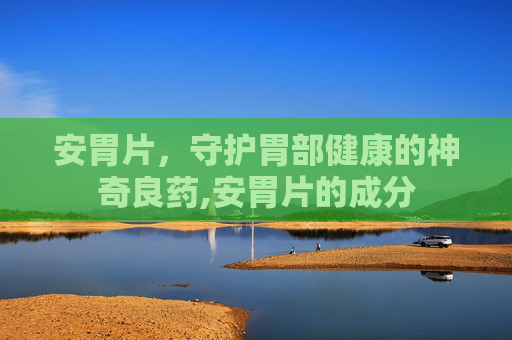 安胃片，守护胃部健康的神奇良药,安胃片的成分