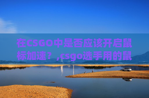 在CSGO中是否应该开启鼠标加速？,csgo选手用的鼠标
