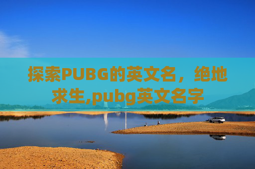 探索PUBG的英文名，绝地求生,pubg英文名字
