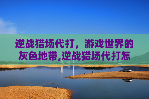逆战猎场代打，游戏世界的灰色地带,逆战猎场代打怎么样