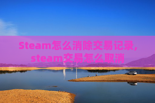 Steam怎么消除交易记录,steam交易怎么取消