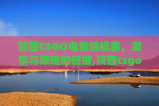 陕西CSGO电竞锦标赛，激情与荣耀的碰撞,陕西csgo电竞锦标赛赛程