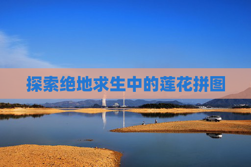 探索绝地求生中的莲花拼图
