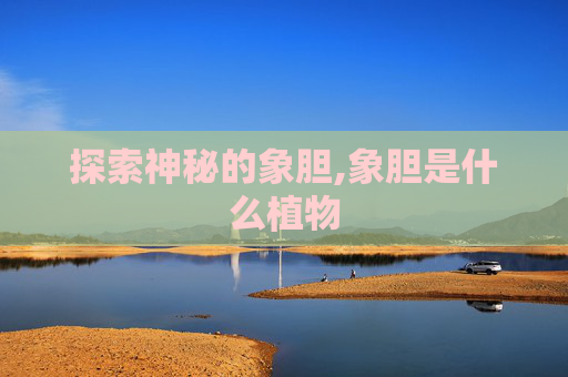探索神秘的象胆,象胆是什么植物