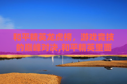 和平精英龙虎榜，游戏竞技的巅峰对决,和平精英里面的龙
