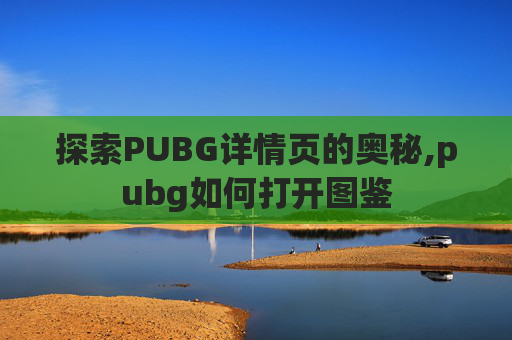 探索PUBG详情页的奥秘,pubg如何打开图鉴