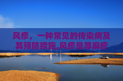 风疹，一种常见的传染病及其预防措施,风疹是荨麻疹吗