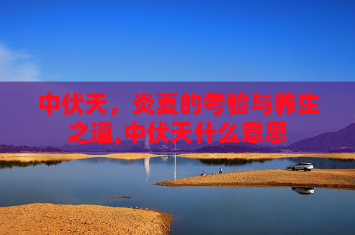中伏天，炎夏的考验与养生之道,中伏天什么意思