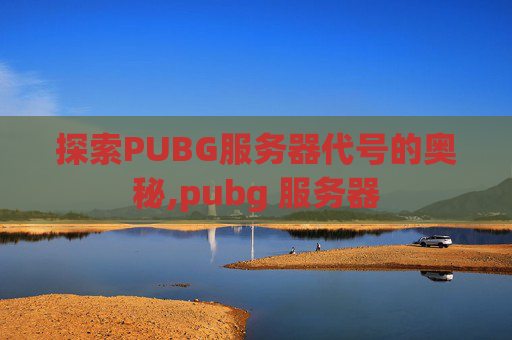 探索PUBG服务器代号的奥秘,pubg 服务器