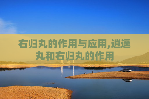 右归丸的作用与应用,逍遥丸和右归丸的作用