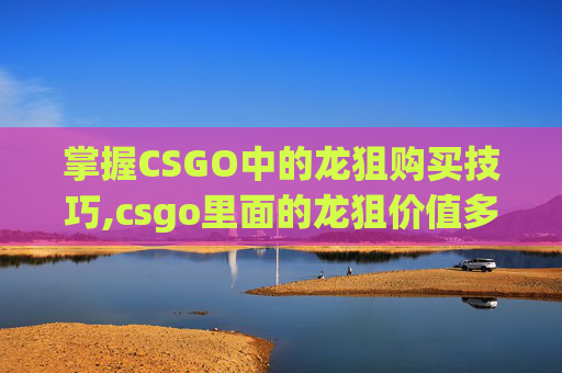 掌握CSGO中的龙狙购买技巧,csgo里面的龙狙价值多少钱