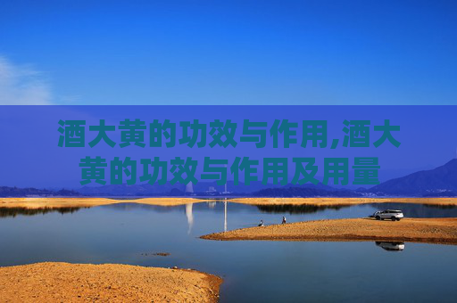 酒大黄的功效与作用,酒大黄的功效与作用及用量