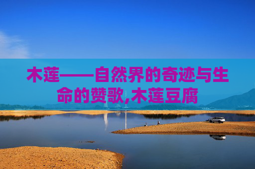 木莲——自然界的奇迹与生命的赞歌,木莲豆腐