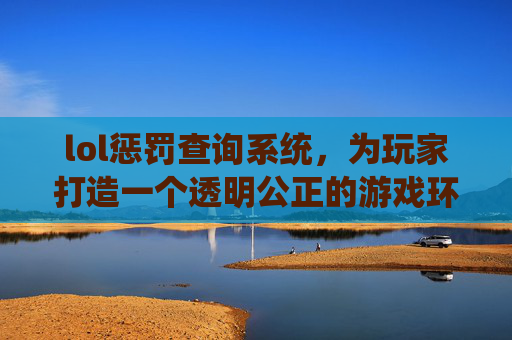lol惩罚查询系统，为玩家打造一个透明公正的游戏环境,LOL惩罚记录查询入口