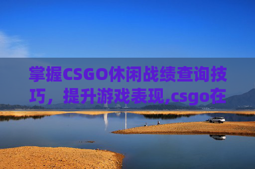 掌握CSGO休闲战绩查询技巧，提升游戏表现,csgo在哪查战绩