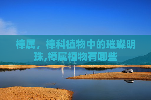 樟属，樟科植物中的璀璨明珠,樟属植物有哪些