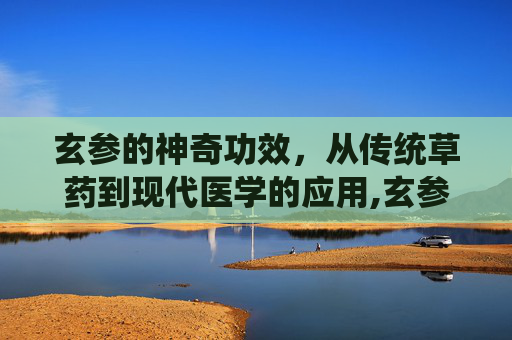 玄参的神奇功效，从传统草药到现代医学的应用,玄参的作用和功能主治