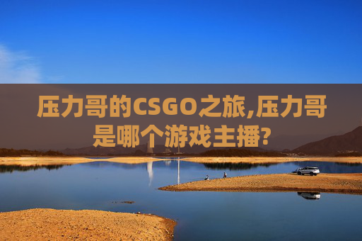 压力哥的CSGO之旅,压力哥是哪个游戏主播?
