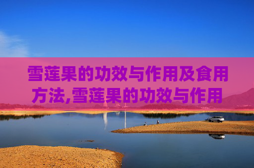 雪莲果的功效与作用及食用方法,雪莲果的功效与作用及食用方法_图片介绍!