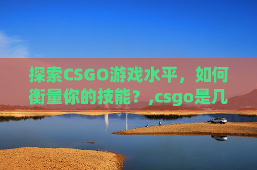探索CSGO游戏水平，如何衡量你的技能？,csgo是几