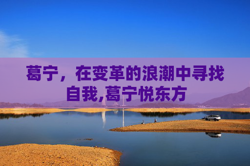 葛宁，在变革的浪潮中寻找自我,葛宁悦东方