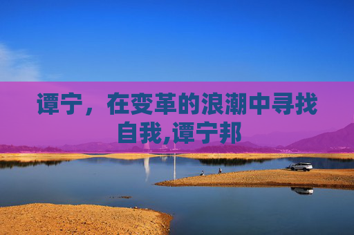 谭宁，在变革的浪潮中寻找自我,谭宁邦