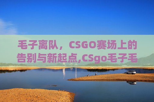 毛子离队，CSGO赛场上的告别与新起点,CSgo毛子毛妹