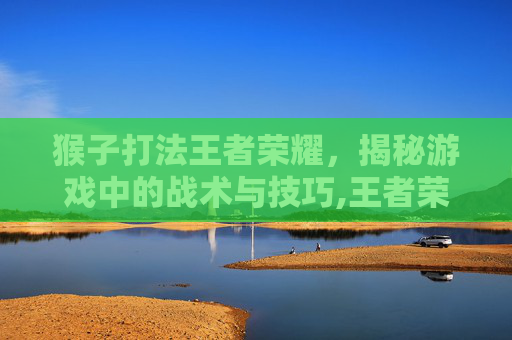 猴子打法王者荣耀，揭秘游戏中的战术与技巧,王者荣耀 猴子打法