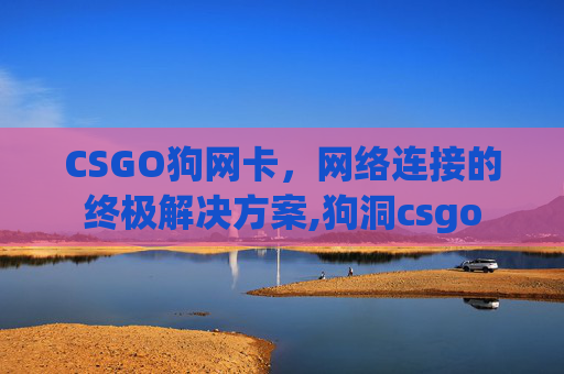 CSGO狗网卡，网络连接的终极解决方案,狗洞csgo