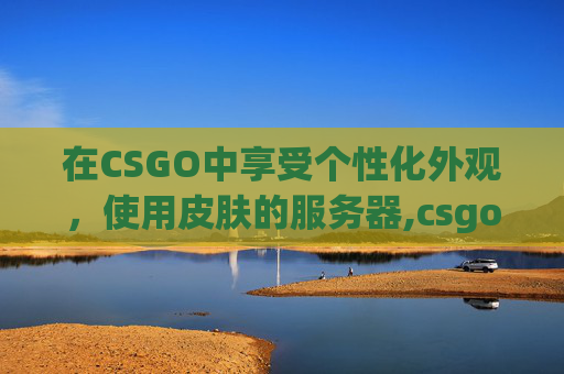 在CSGO中享受个性化外观，使用皮肤的服务器,csgo使用皮肤的服务器是什么