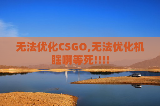 无法优化CSGO,无法优化机瞎啊等死!!!!