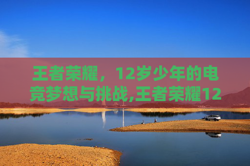 王者荣耀，12岁少年的电竞梦想与挑战,王者荣耀12岁以上可以玩多少小时