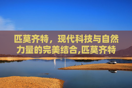 匹莫齐特，现代科技与自然力量的完美结合,匹莫齐特是什么药